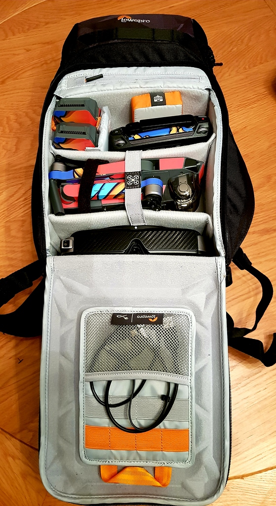 lowepro droneguard bp 250