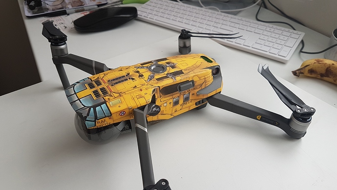 skin mavic 2